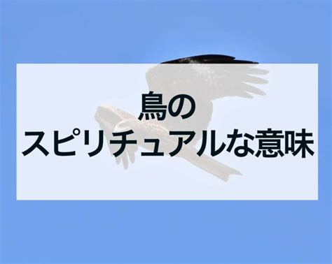 死鳥風水|鳥のスピリチュアルな意味やサイン 